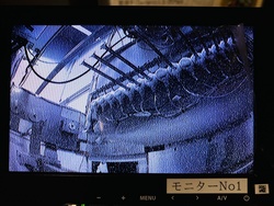 IMG_1411.jpeg
