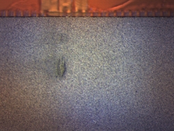 PL21_bottom_middle.jpg