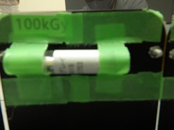 RIMG3502.jpg