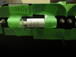 RIMG3503.jpg