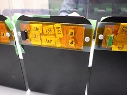 RIMG3508.jpg