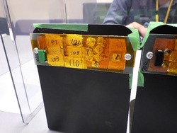 RIMG3509.jpg