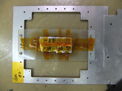 DSCF3556.JPG