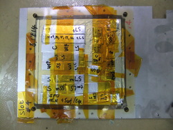 DSCF3551.JPG