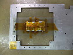 DSCF3543.JPG