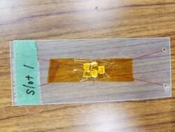20230622_170613.jpg