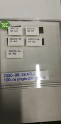 IMG_20201007_153745.jpg