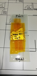 IMG_20201007_154423.jpg
